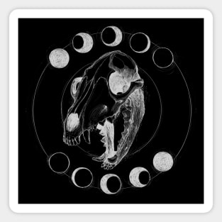 wolf skeleton Magnet